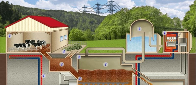 Screenshot aus dem Multimedia-Element zur Funktionsweise einer Biogasanlage. (Foto: SWR - Screenshot aus dem Multimedia-Element)