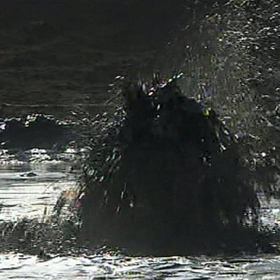 Ein schmutziger See, aus dem Wasser hochschießt (Foto: SWR – Screenshot aus der Sendung)