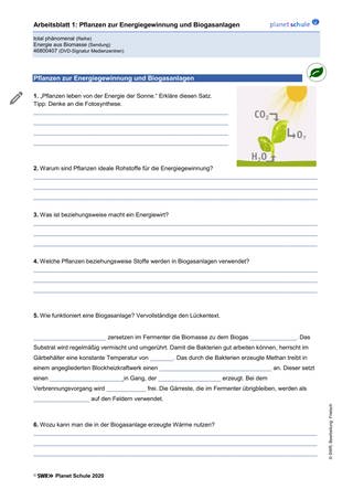 Arbeitsblatt 1: Pflanzen zur Energiegewinnung und Biogasanlagen (Foto: )