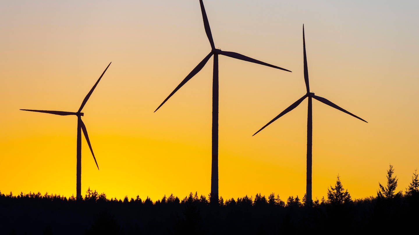 Fünf Windparks mit 25 Windrädern rund um Speyer geplant