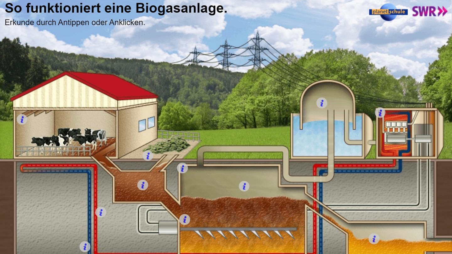 In der Animation zur Biogasanlage sieht man eine solche Anlage mit ihren Bestandteilen. Der Rohstoff wird durch den Abfall von Kühen bereitgestellt und wandert in den Fermenter. Dort entsteht Biogas, mit dem im Blockheizkraftwerk dann Wärme und Strom prdouziert wird. (Foto: Screenshot aus Animation)