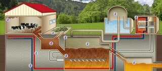 In der Animation zur Biogasanlage sieht man eine solche Anlage mit ihren Bestandteilen. Der Rohstoff wird durch den Abfall von Kühen bereitgestellt und wandert in den Fermenter. Dort entsteht Biogas, mit dem im Blockheizkraftwerk dann Wärme und Strom prdouziert wird.