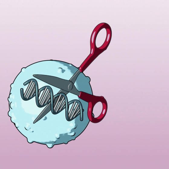 Animation: Schere an DNA-Strang in einer Zelle. (Foto: SWR – Screenshot aus der Sendung)