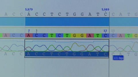 Grafische Darstellung einer DNA-Sequenz auf dem Bildschirm. (Foto: Quelle: SWR – Screenshot aus der Sendung)