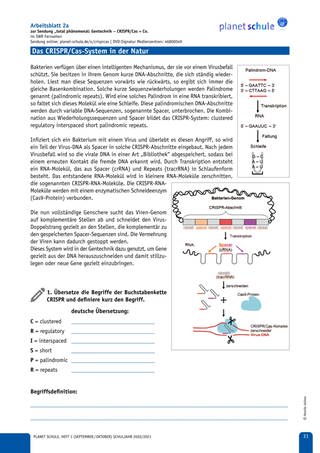 Arbeitsblatt 2a-d: Das CRISPRCas-System in der Natur