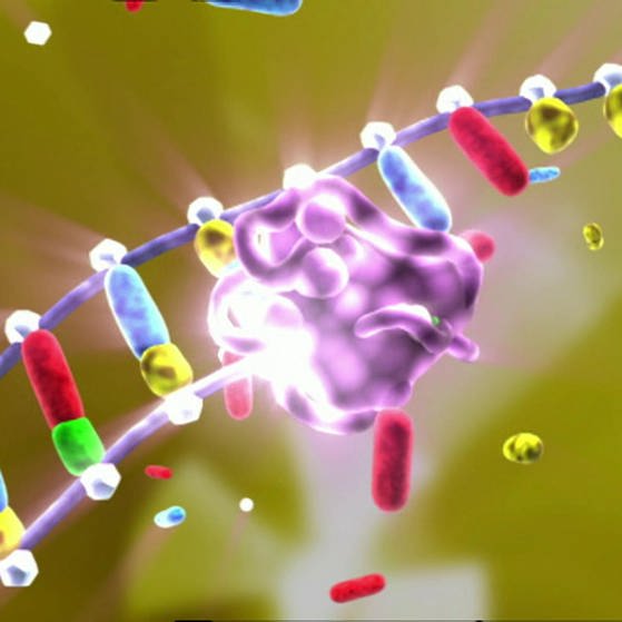 Farbige Grafik eines DNA-Strangs, der bis zur Hälfte zum Doppelstrang ergänzt ist. (Foto: SWR – Screenshot aus der Sendung)