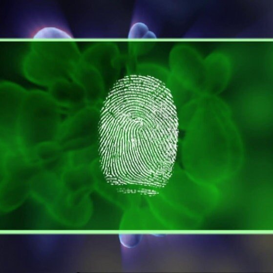 Fingerabdruck.