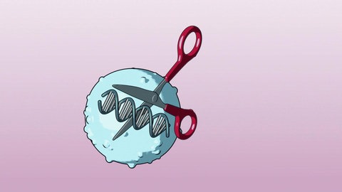Animation: Schere an DNA-Strang in einer Zelle.