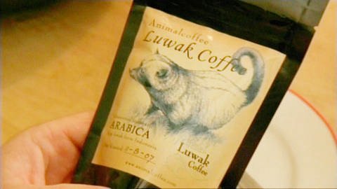 Eine Packung mit der Aufschrift ‚Luwak Coffee‘ und der Abbildung einer Schleichkatze. (Foto: SWR/WDR – Print aus der Sendung)