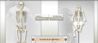 Startscreen des Lernspiels Skelettbaukasten