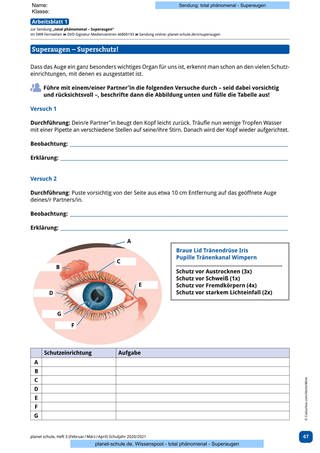 Arbeitsblatt 1: Schutzeinrichtungen des Auges (Foto: )