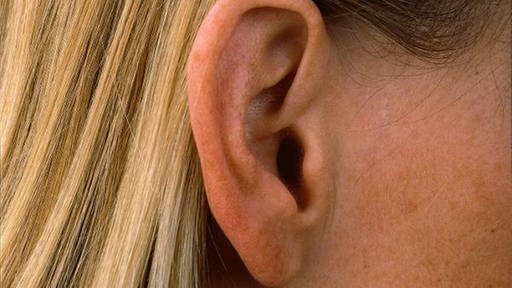 Das menschliche Ohr (Foto: picture-alliance / OKAPIA KG)