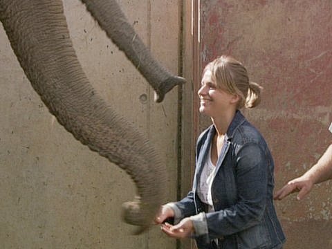 Die blinde Verena Bentele spielt mit einem Elefanten (Foto: SWR)