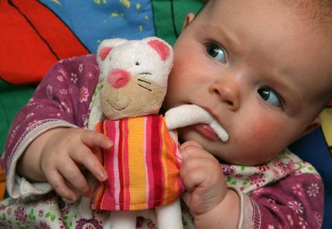 Baby nimmt etwas in den Mund (Foto: picture-alliance / ZB)