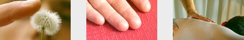 Löwenzahn, Finger auf Braille-Schrift, Massage