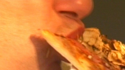 Bannerbild