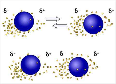 Schematische Darstellung der Van-der-Waals-Kräfte: Zwei Atome (blau dargestellt) mit positiver und negativer Polarisierung (mit kleinen gelben Kugeln dargestellt). (Foto: Martina Frietsch)