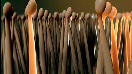 Extreme Vergrößerung der Härchen am Haftorgan der Fliege: dünne Stengel mit verdickten, ovalen Enden.