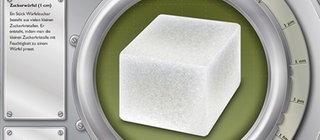 Startscreen der Simulation