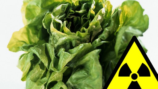 Kopfsalat, davor Warnzeichen für Radioaktivität.