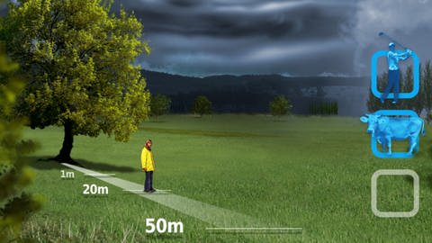Ein Mensch in Regenjacke befindet sich im Lernspiel Blitzsimulator mit einem Abstand von 20 Metern neben einem Baum. Schlägt bei einem Gewitter ein Blitz in den Baum ein, kann das lebensgefährlich für den Mensch werden.  (Foto: Screenshot aus Lernspiel)