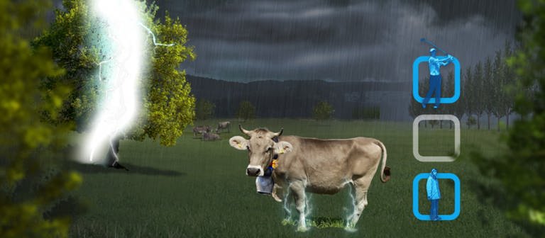 Eine Kuh steht im Lernspiel Blitzsimulator auf einer Wiese neben einem Baum, als ein Blitz darin einschlägt. Doch die Kuh ist weit genug entfernt, dass ihr die über den Bodenstrom abgegriffene Spannung nicht gefährlich wird. (Foto: Screenshot aus Lernspiel)