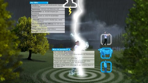 Im Lernspiel Blitzsimulator wird ein Golfspielfer von einem Blitz getroffen. Zwei Tafeln geben Auskunft über Merkmale des Blitzes und erklären, warum die simulierte Situation lebensgefährlich sein kann. (Foto: Screenshot aus Lernspiel)