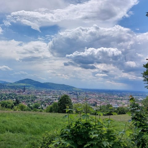Blick auf Freiburg bei bewölktem Himmel