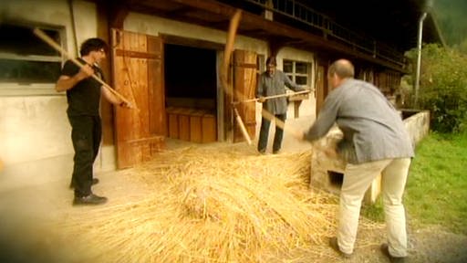 Drei Männer dreschen Korn mit Dreschflegeln (Foto: SWR - Screenshot aus der Sendung)