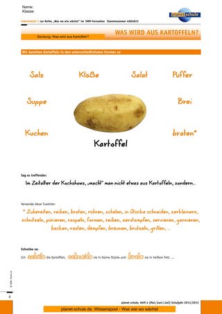 Arbeitsblatt 1: Zubereitungsformen Kartoffel (Foto: )