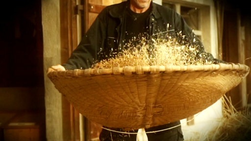 Weizen und Spreu werden vom Wind getrennt