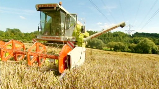 Ein Mähdrescher fährt durch ein Feld mit reifem Weizen.