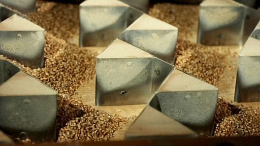 Ausschnitt eines Rütteltischs mit Weizenkörnern.