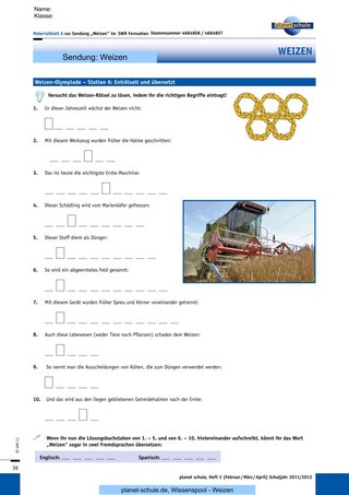 Materialblatt 6: Station 6: Weizen-Rätsel