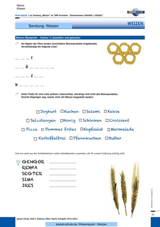 Materialblatt 1: Station 1: Weizenprodukte