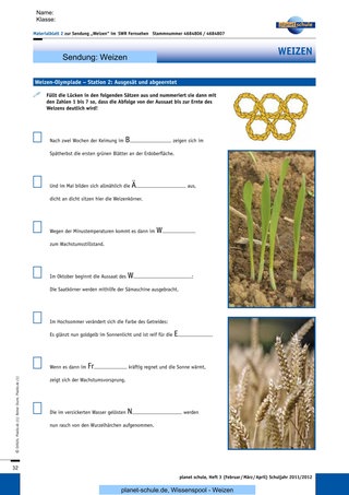 Materialblatt 2: Station 2: Von der Aussaat bis Ernte
