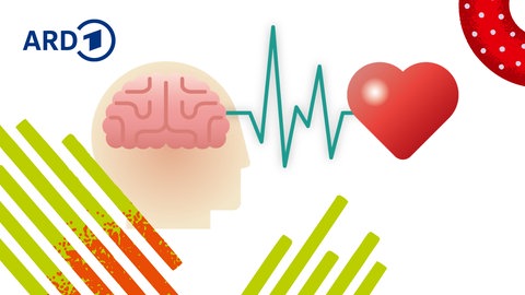 Illustration von Herz und Gehirn
