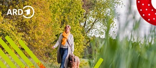 Ein Mensch geht allein in der Natur mit einem Hund spazieren