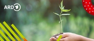 Ein Mensch hält ein Pflänzchen mit Erde in den Händen.