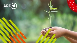 Ein Mensch hält ein Pflänzchen mit Erde in den Händen.