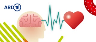 Illustration von Herz und Gehirn