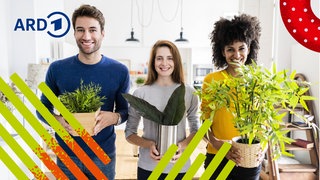 Drei Menschen stehen mit Geschenken im Flur und kommen offensichtlich zu Besuch.