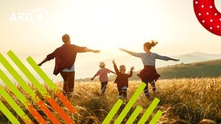 Eltern mit zwei Kindern laufen bei Sonnenuntergang auf einer Wiese.