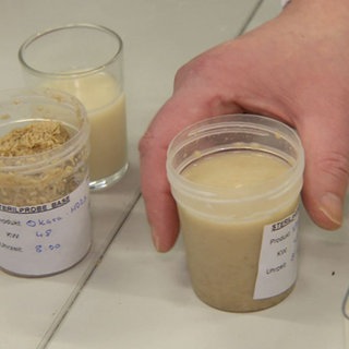 Verschiedene Proben mit Pflanzendrinks