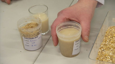 Verschiedene Proben mit Pflanzendrinks