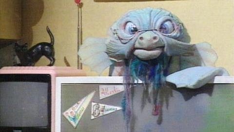 Eine Puppe von einem alten Fisch mit Brille schaut in die Kamera (Foto: SWR - Screenshot aus der Sendung)
