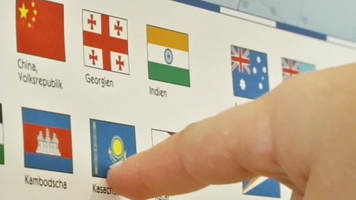 Ausschnitt einer Übersicht über Flaggen.