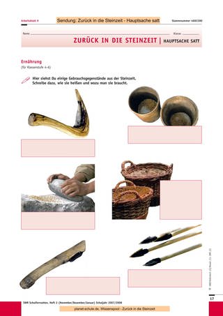 Arbeitsblatt 9: Ernährung der Steinzeit II (Klassenstufe 4-6) (Foto: )