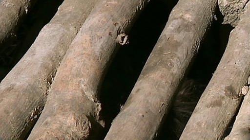Der Boden der Pfahlbauten besteht aus zusammengebundenen Stämmen und Ästen. (Foto: SWR – Screenshot aus der Sendung)