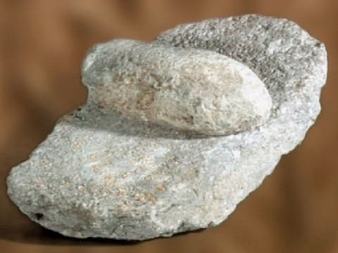 Steinzeitlicher Reibstein (Foto: SWR – Screenshot aus der Sendung)